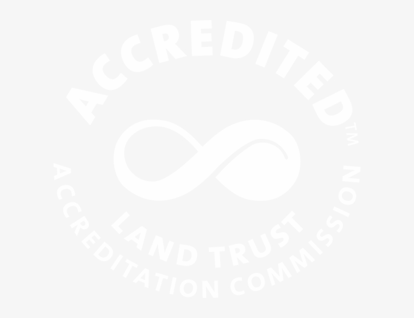 Seal White - Beard, transparent png