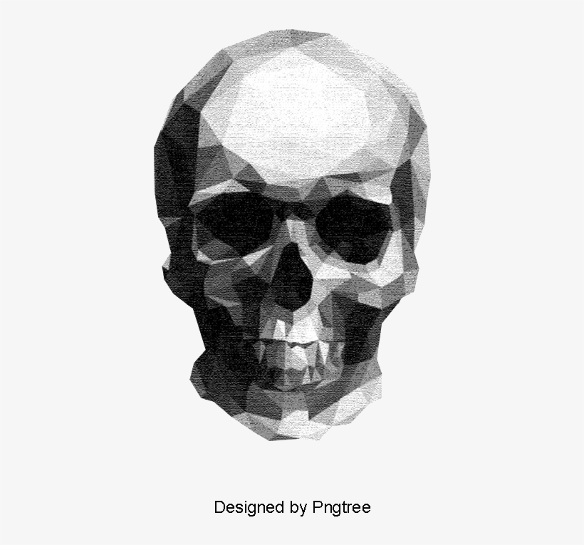 Sketch Skull, Skull Clipart, Sketch, Human Skeleton - Low Poly Illustrator, transparent png