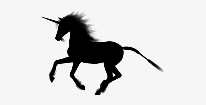 Unicorn, Fantasy, Animal, Equine, Horse - Unicornio Negro, transparent png