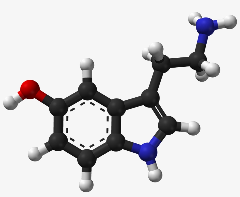 Serotonin Spartan Hf Based On Xtal 3d - Serotonin Molecule, transparent png