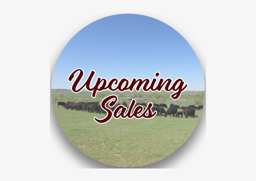 Upcoming-sales - Sales, transparent png