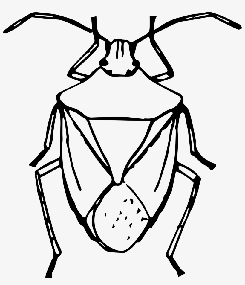 Insect Line Drawing At Getdrawings - Stink Bug Black And White, transparent png