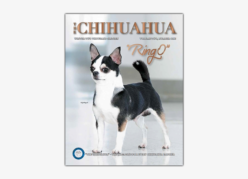 The Chihuahua - Magazine, transparent png