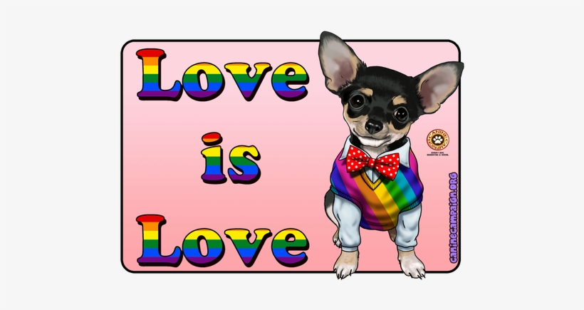 Chihuahua, transparent png