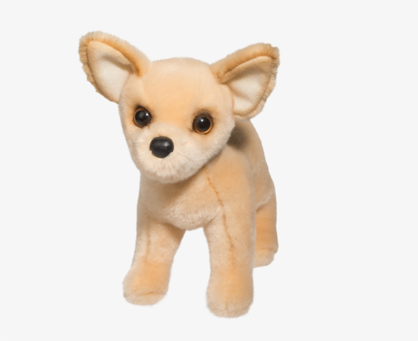 Douglas Carlos Chihuahua - Douglas Chihuahua, transparent png