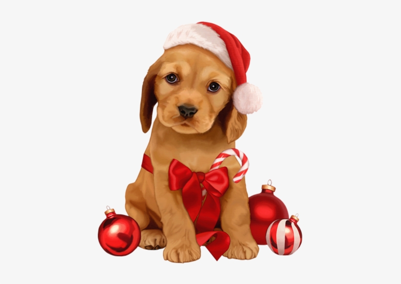 Svg Library B A C Orig Png Pinterest - Holiday Puppy, transparent png
