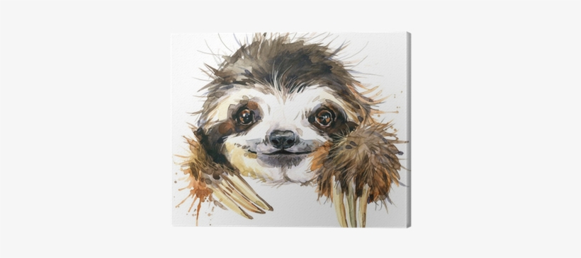 Watercolor Sloth Illustration - Sloth Watercolor, transparent png