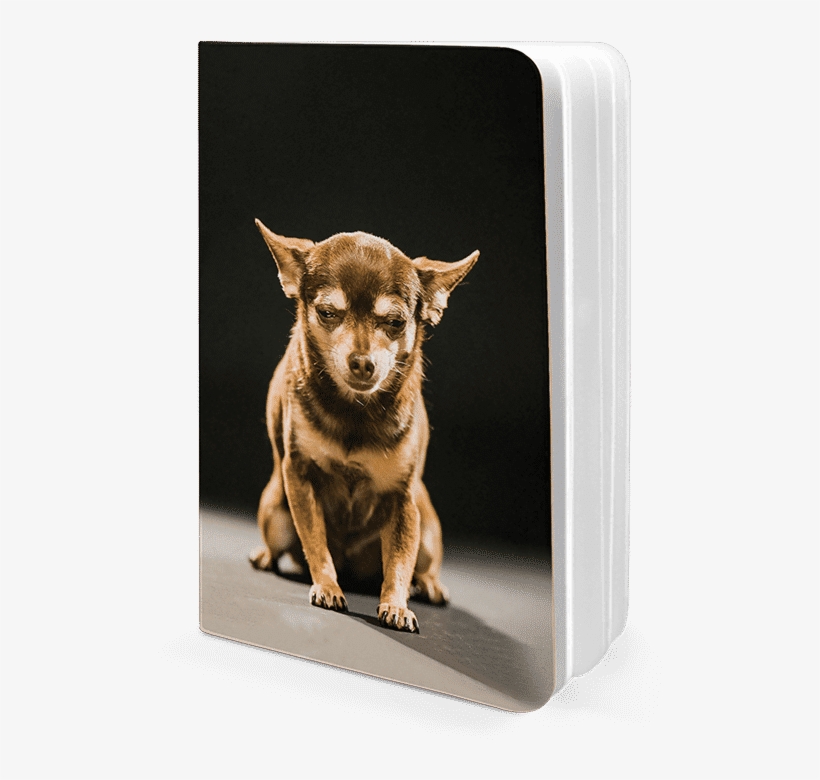 Dailyobjects Evil Mastermind A5 Notebook Plain Buy - Companion Dog, transparent png