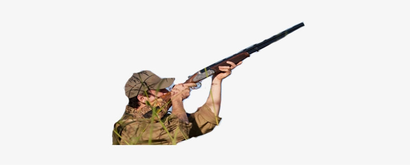 Hungry Trout Bird Hunting Guides And Tours - 250 Amazing Hunting Tips - Book, transparent png
