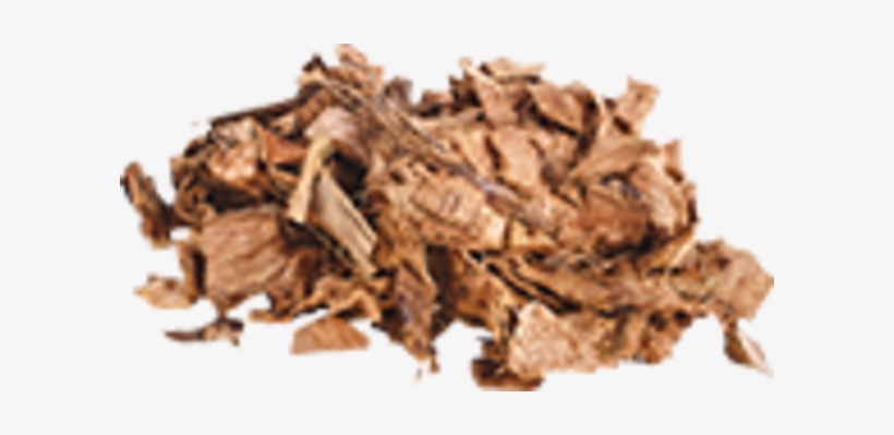 Coconut, transparent png