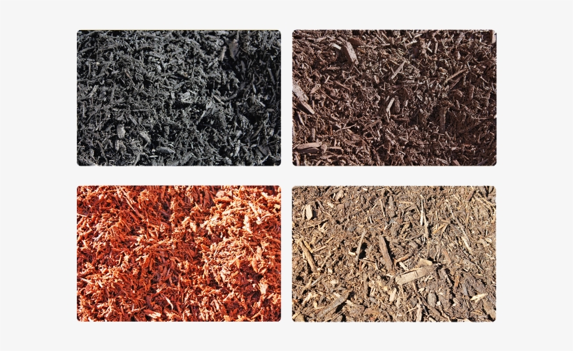 Mulch - Mulch Color Pine Hemlock Cedar, transparent png