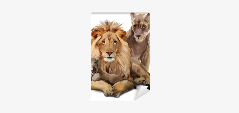 Lion, transparent png