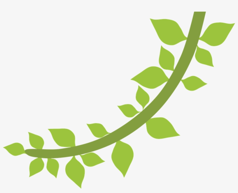 Floresta E Safari - Folhas Safari Desenho Png, transparent png