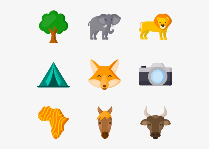 Safari, transparent png