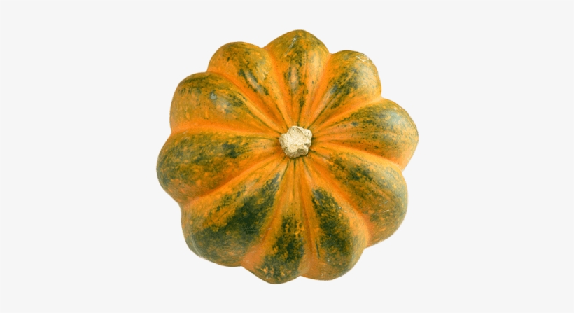 Free Png Acorn Squash Image Png Images Transparent - Squash Png, transparent png