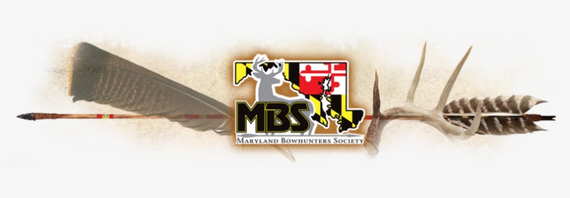 You Can Also Sign Up For The Mbs News & E-alerts To - Graphic Design, transparent png