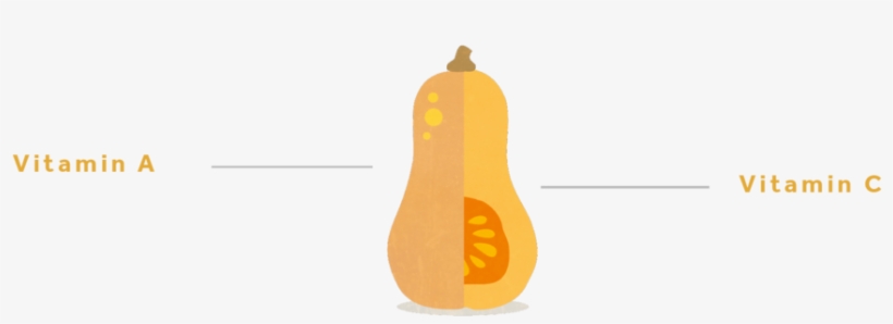 Butternutsquash-01 - Butternut Squash, transparent png