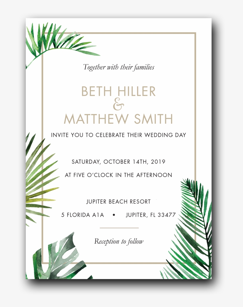 Tropical Palms - Dot & Bo, Inc., transparent png