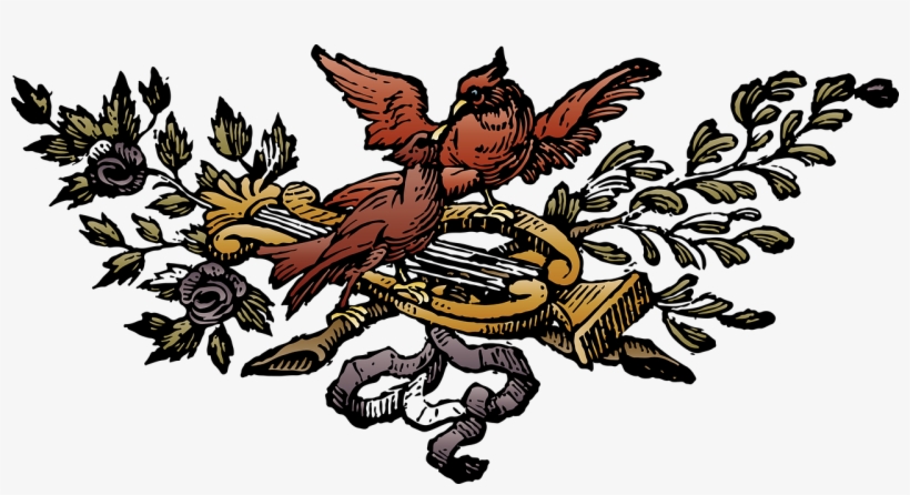 Transparent Background Bird Transparent Image - ภาพ พื้น หลัง โปร่งใส, transparent png