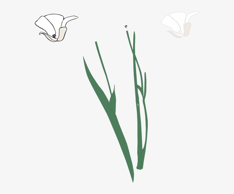 Original Png Clip Art File White Long Stem Flower Broke, transparent png