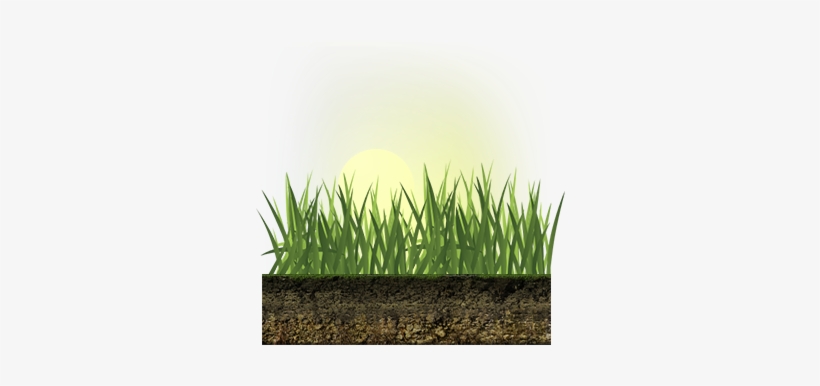 You'll Lose More Water To Evaporation If You Water - Watering Grass Png, transparent png