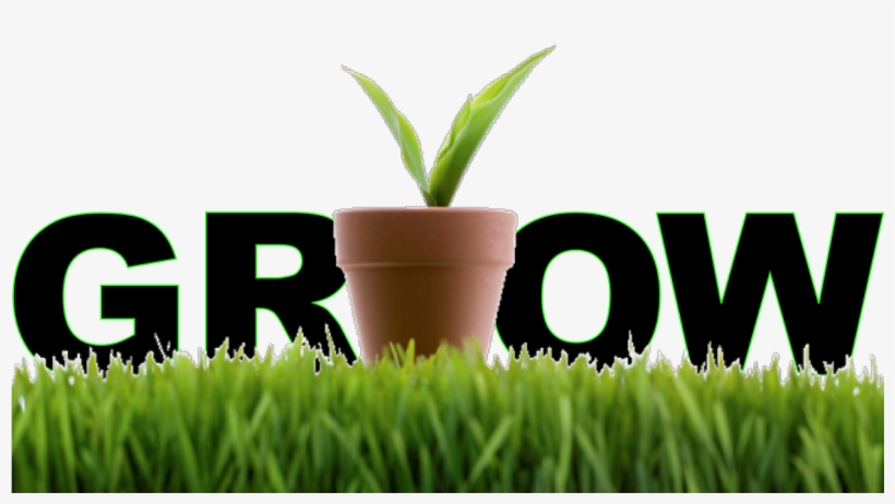 Grow Your Business Using Lead Nurturing - Metodo G.r.o.w 2017: I Segreti Dell'eccellenza E Del, transparent png