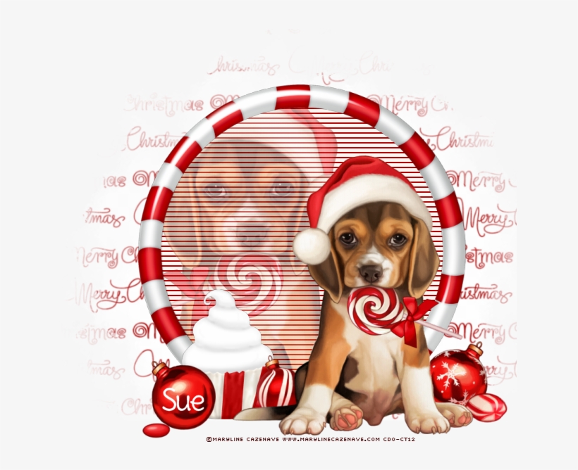 Photo Merry Christmas - Beagle, transparent png