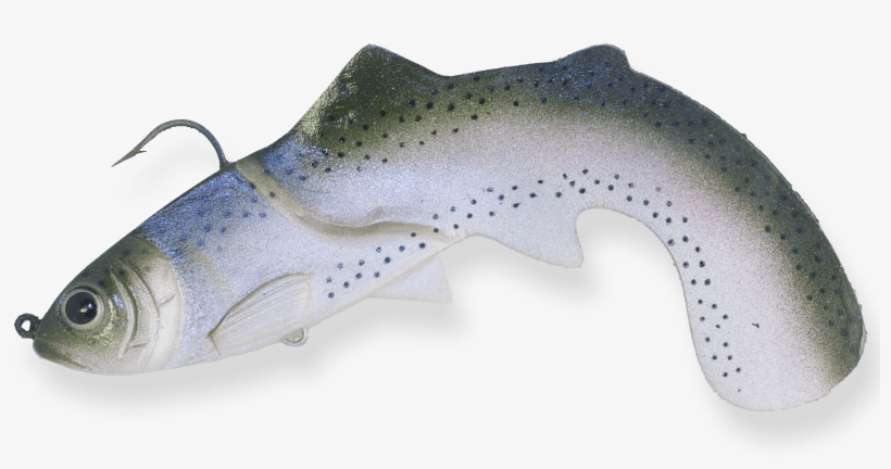 Rainbow - Rainbow Shops, transparent png