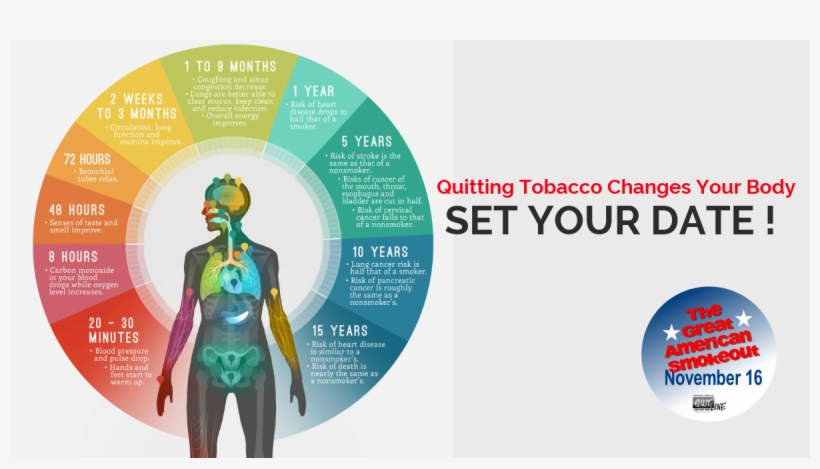 Fb Blog Image - Happens When You Quit Smoking, transparent png