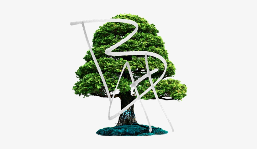 Bhtreefinal - Sticker Bonzai Dimensions - 66x80cm - Autocollants, transparent png