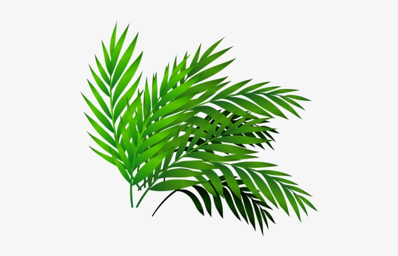 Qn3g 5tbo 141017 [преобразованный] - Vector Graphics, transparent png