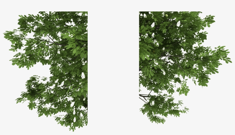 Sc 1 Th - Portable Network Graphics, transparent png