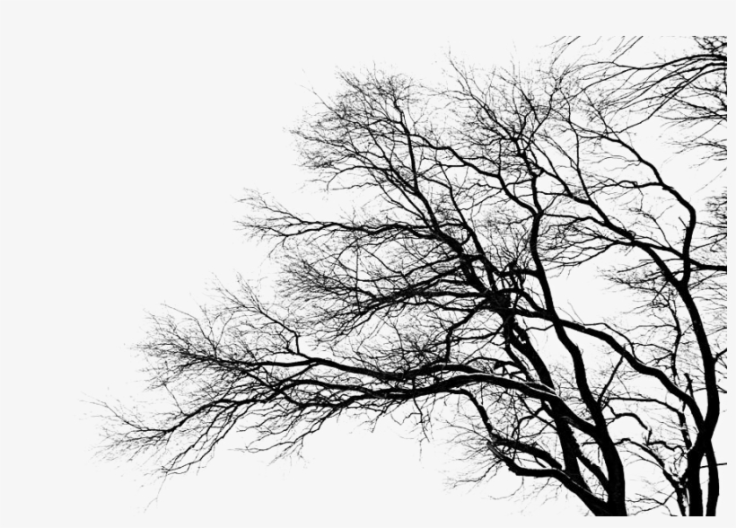 42 Pm 11266 Title - Amore Beaute Handcrafted Customizable 40th Anniversary, transparent png