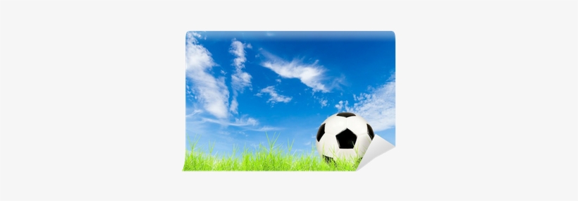 Soccer Ball On Green Grass With Blue Sky Wall Mural - Blue, transparent png