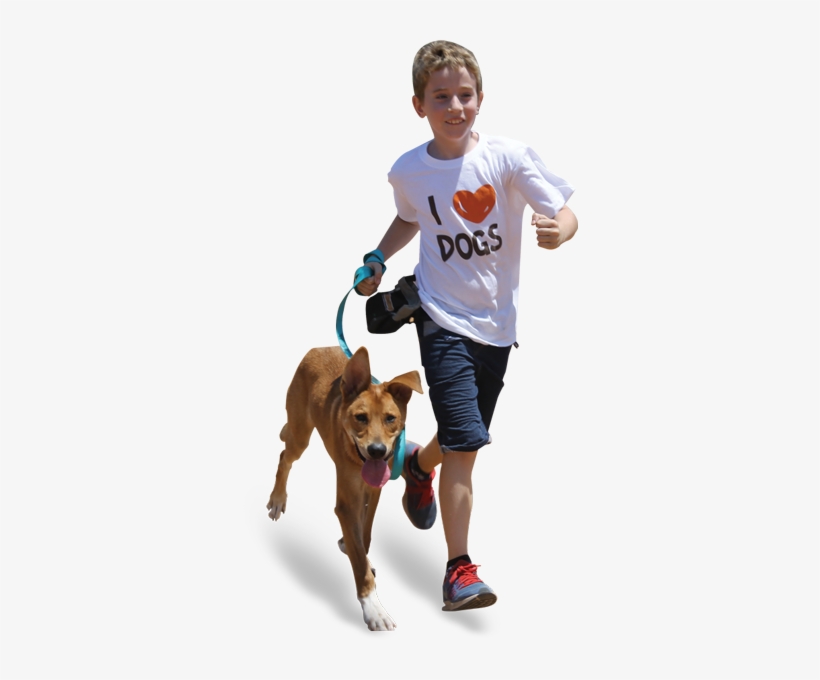 K#dog-running - Dog, transparent png