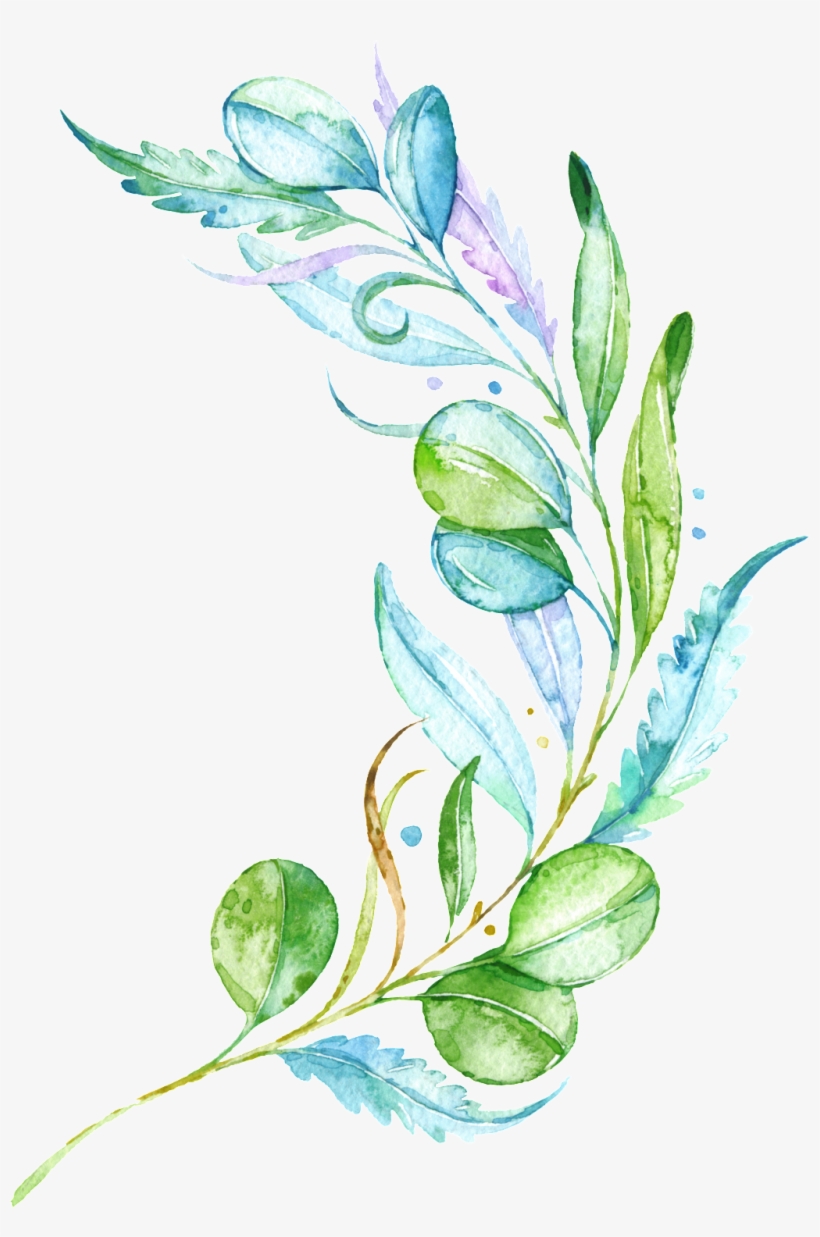 Fresh Leaves Branches Transparent, transparent png