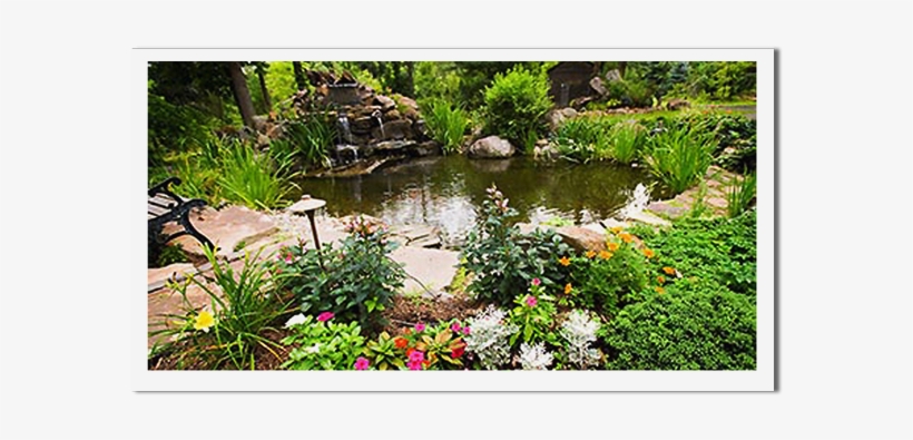 Happy Tree Ranch Pond - Portable Network Graphics, transparent png