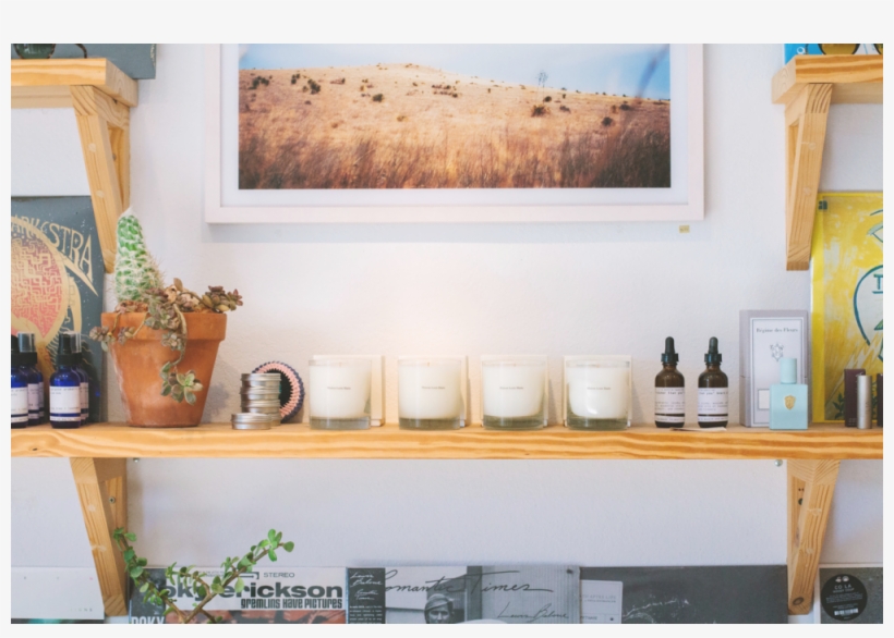 Freda Shelves Gallery 2, transparent png