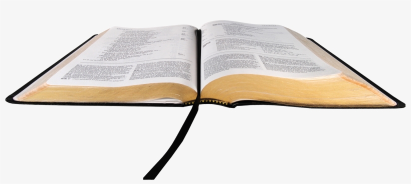 Biblia 05 Apr 2018 - You're In God's Plan: And Designed, transparent png