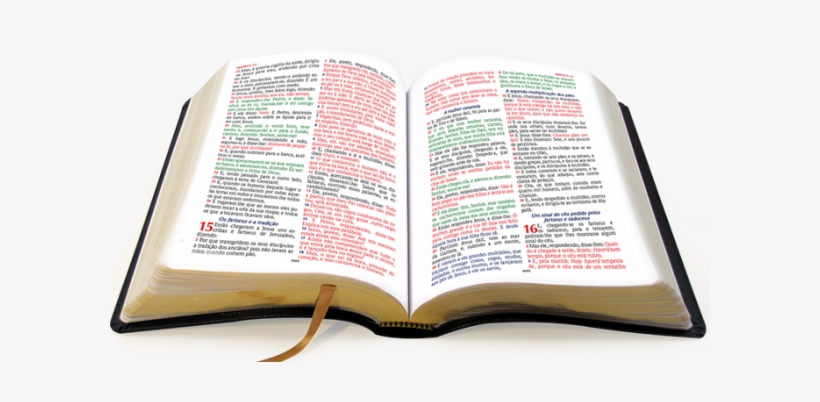 Biblia 51-600x322 - Biblia Livro Png, transparent png