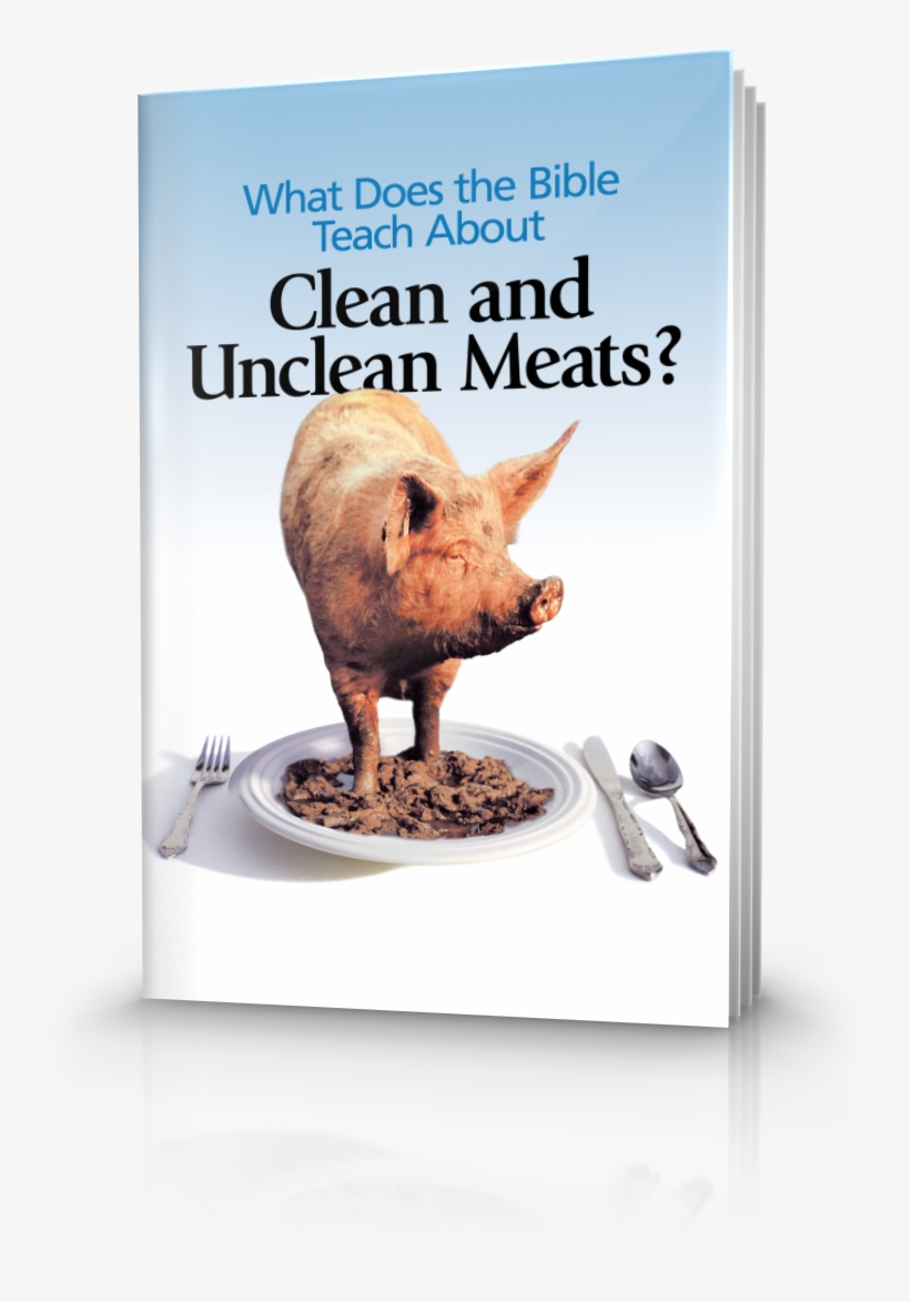 What Does The Bible Teach About Clean And Unclean Meats - Does The Bible Teach About Clean, transparent png