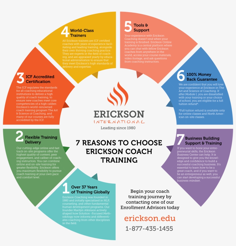 7 Reasons To Choose Erickson Coach Training - Spray Tan Colour Wheel, transparent png