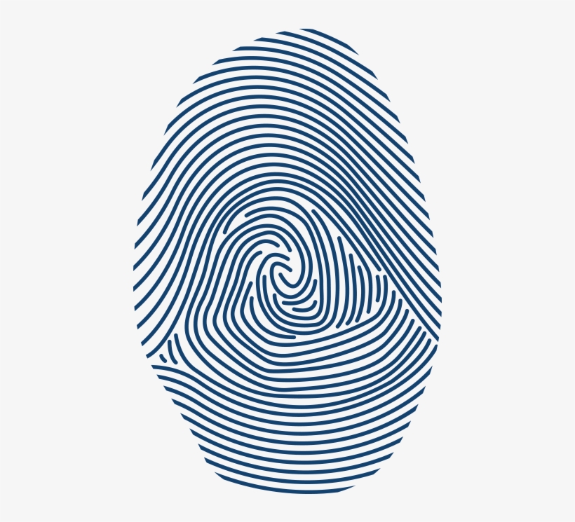 Step 4 - Circle, transparent png