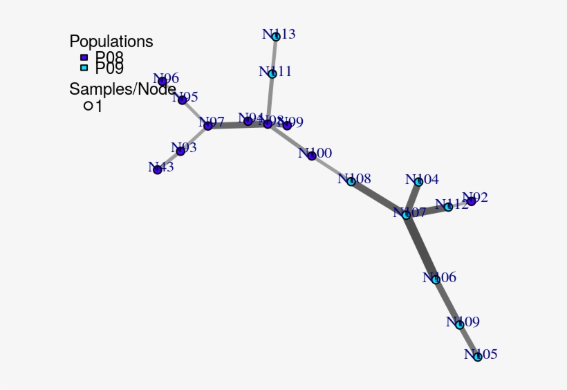 Load The Data Set - Diagram, transparent png