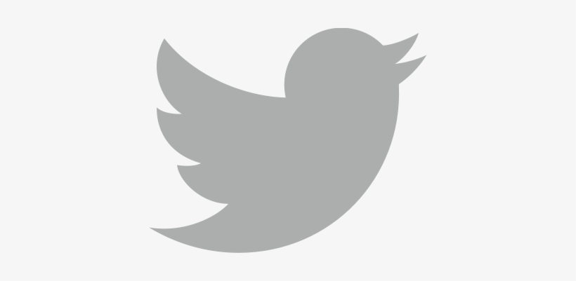 Facebook - Twitter Logo Vector Grey, transparent png