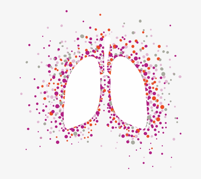 Luster-lungs - Circle, transparent png