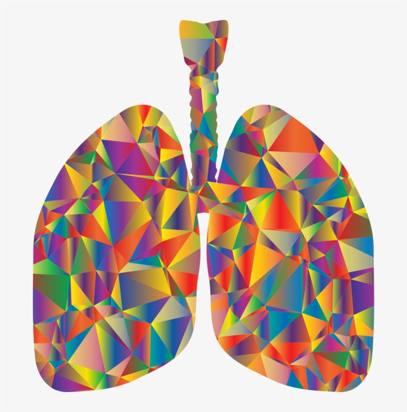 Lung Respiratory System Respiration Breathing Organ - Low Poly Lungs, transparent png