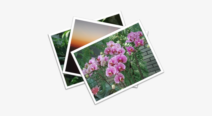 Jacklau96 Pic Icon - My Pictures Png Icon, transparent png
