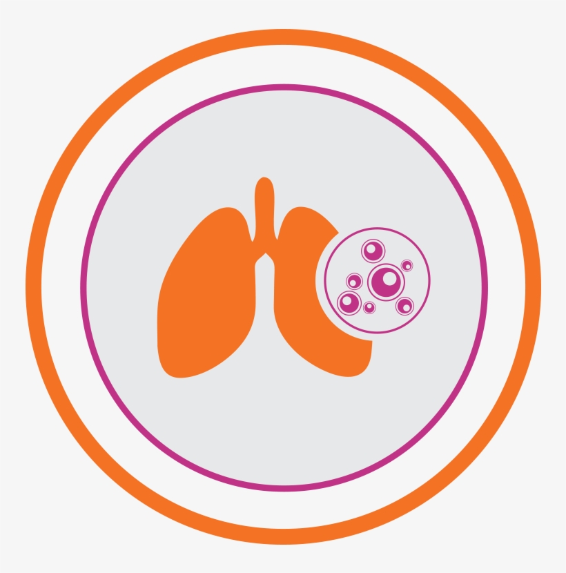 Lung Transplant - Liver Transplantation, transparent png