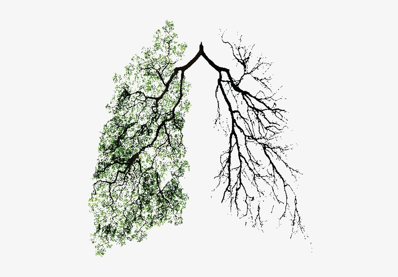 It's All A Game Open And Accepting - Tree Art Tumblr Transparent, transparent png